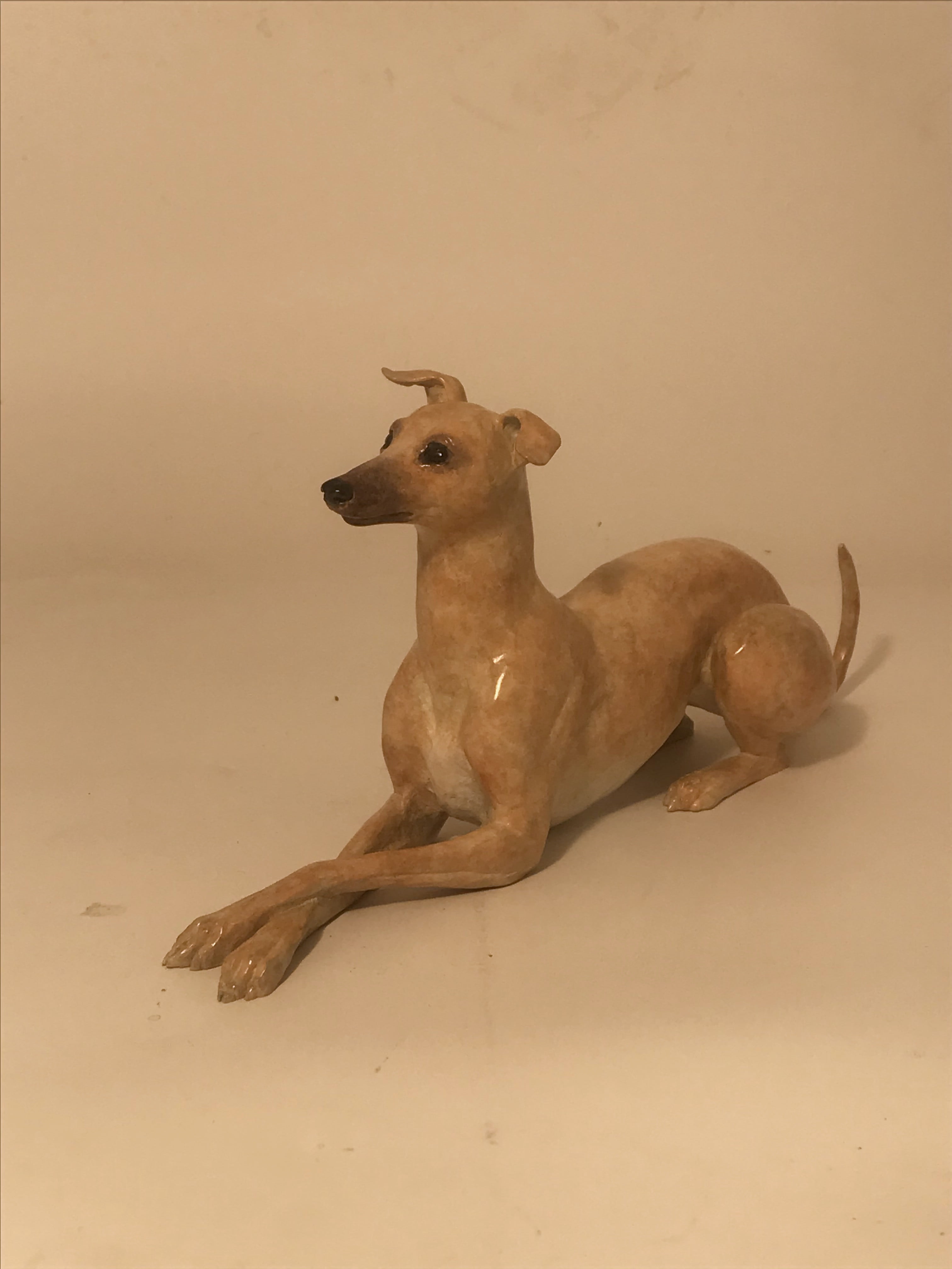 The Lying Down Whippet
