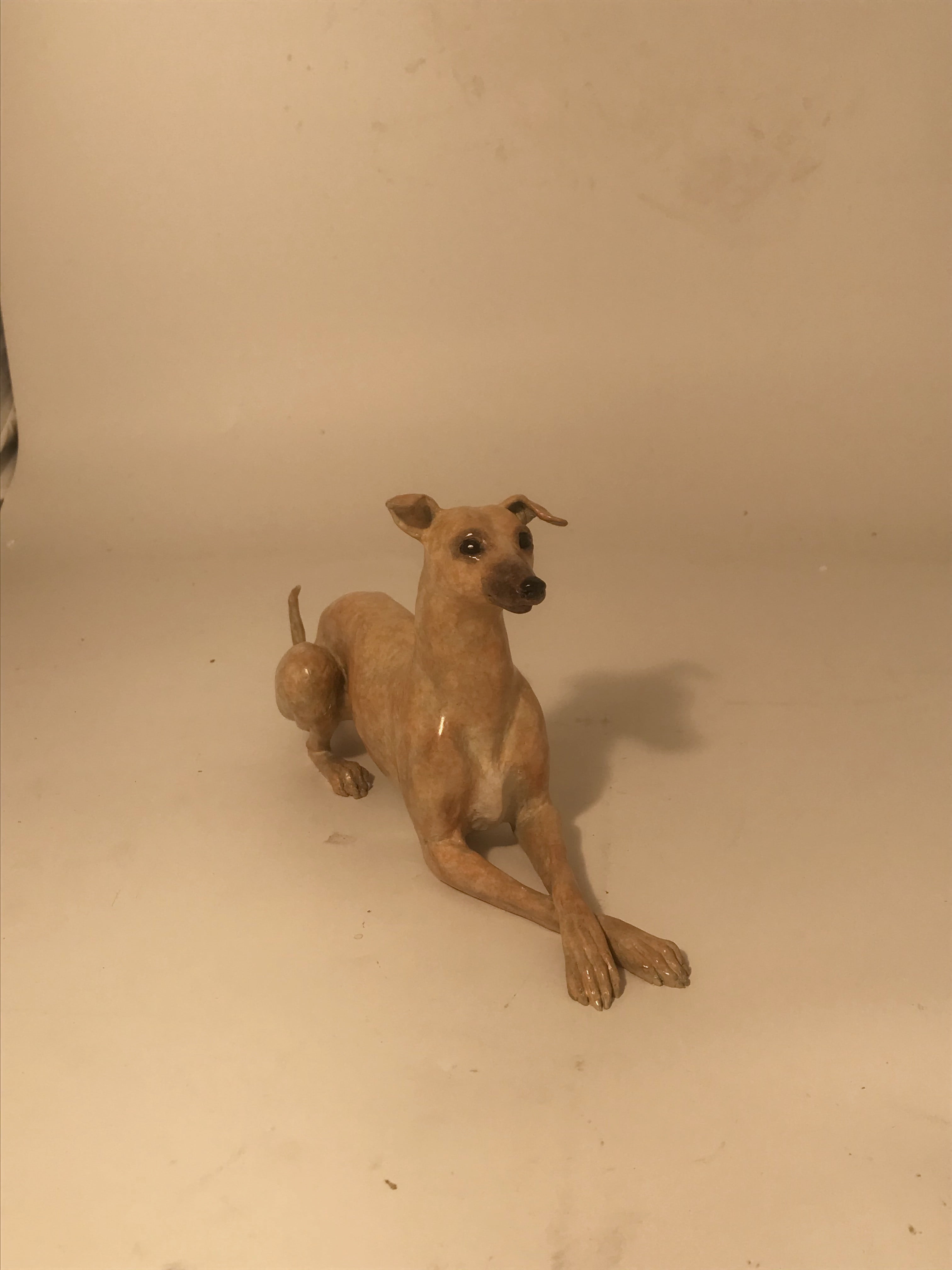 The Lying Down Whippet - Image 5